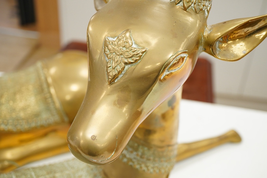 A pair of modern Chinese polished bronze 'Feng Shui' models of antlered recumbent deer with decorated bodies, height 66cm